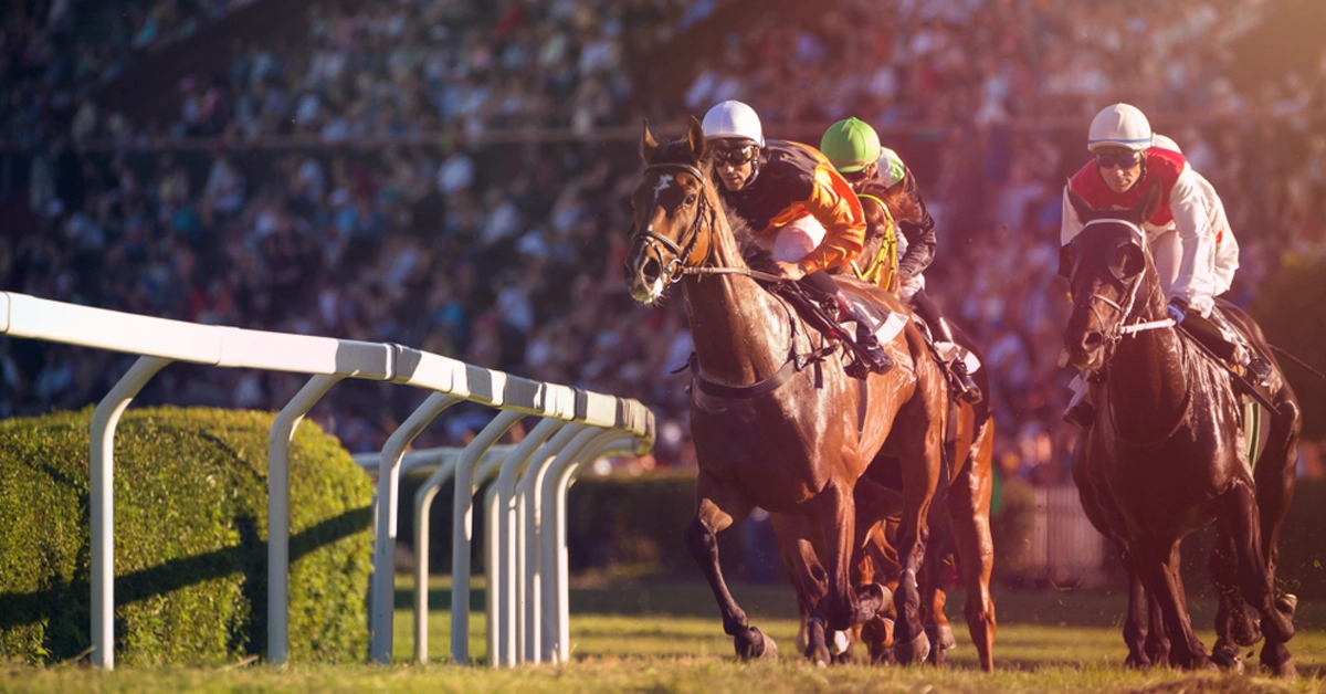 BGC Warns of Illegal Betting at Derby Festival